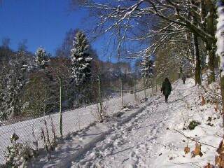 Weg oberhalb der Elsenhöhe