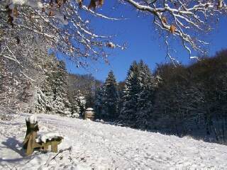 Ruhebank oberhalb der Behringwiese